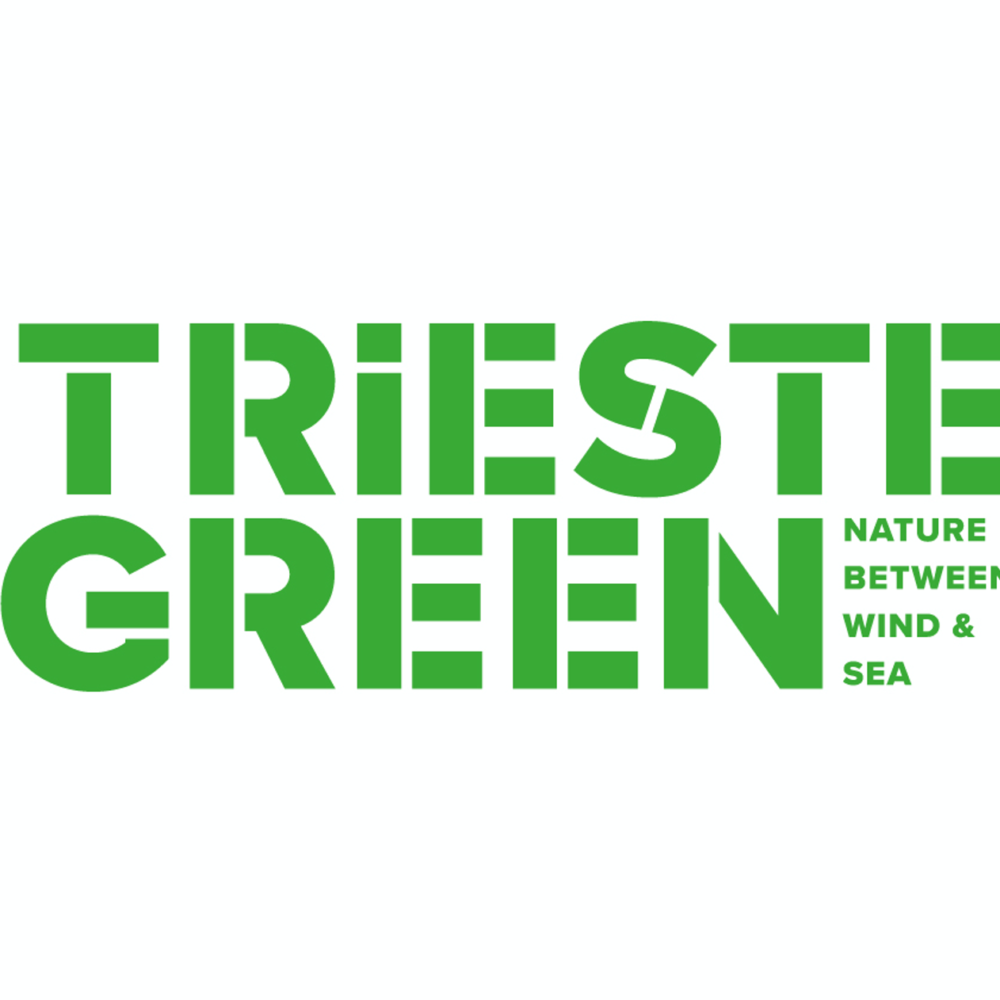 logo TS Green