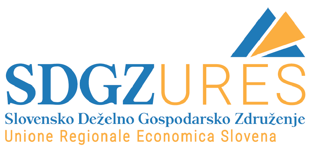 logo_sdgz